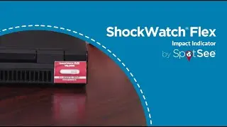 ShockWatch Flexvideo